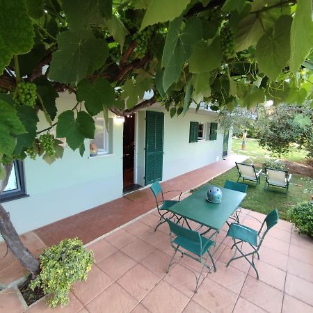 Independent Apartment With A Fabulous Patio - Casa Penny Cisano sul Neva Extérieur photo